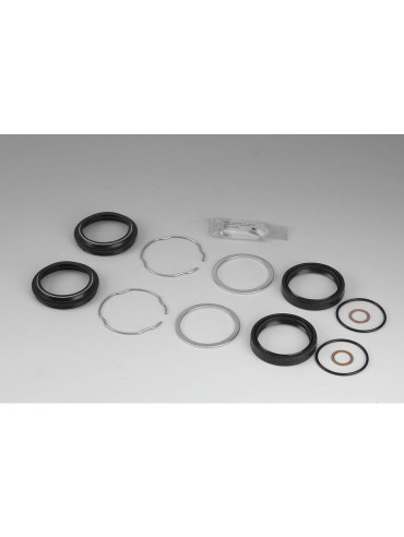 KIT RETENES BARRA SUSPENSION 49X60X10 HARLEY DAVIDSON FXD/FXDWG 06-17 (OEM 45849-06) (GENUINE JAMES)